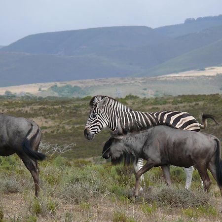 Nyaru Game Lodge Brandwag Exteriér fotografie